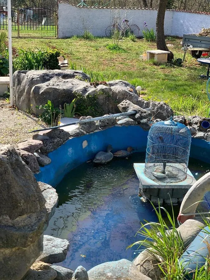*** Guest house Apartment Helena Kanfanar Croatia